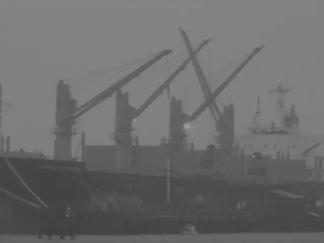 Life in the Profession of a Casino Dealer on a Cruise Ship